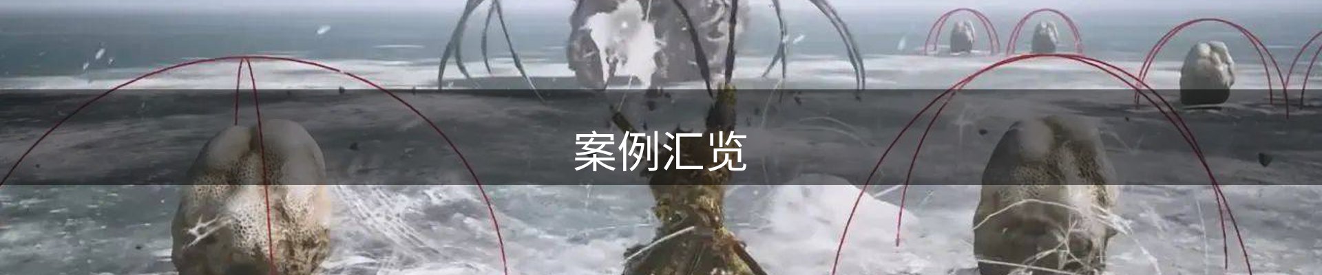 案例汇览